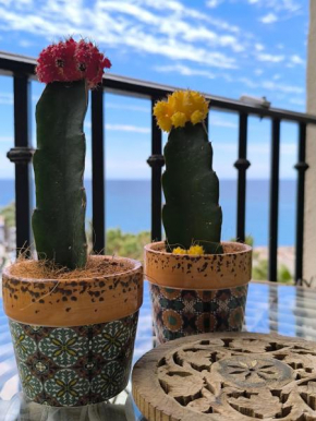 Apartamento Tropicana 1° línea Almuñécar